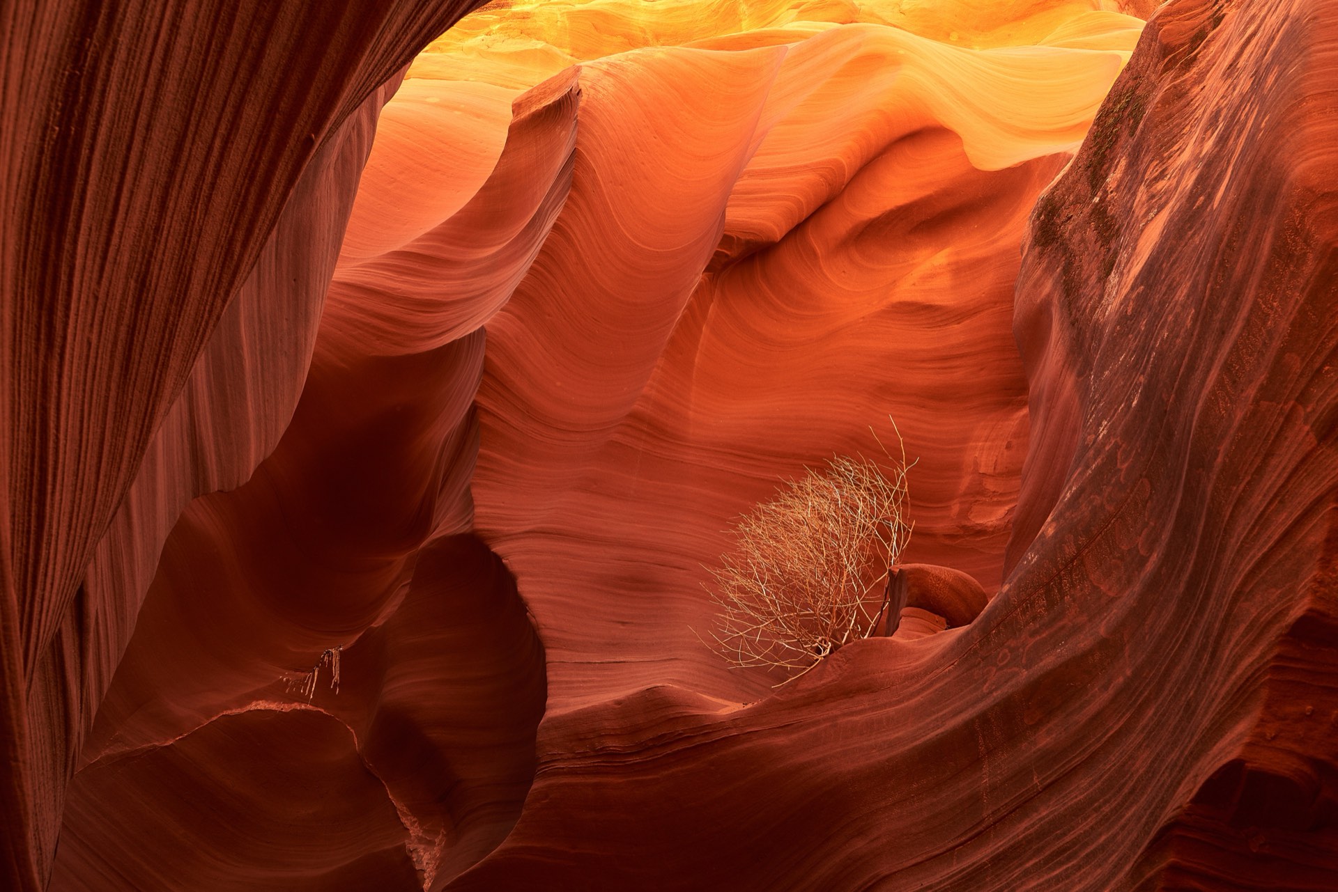 Antelope Canyon, photographed by Joey Wright