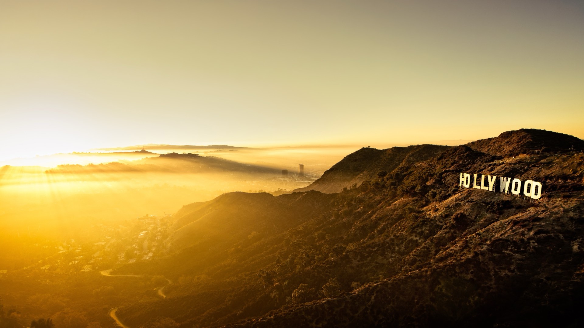 Hollywood, photographed by Joey Wright