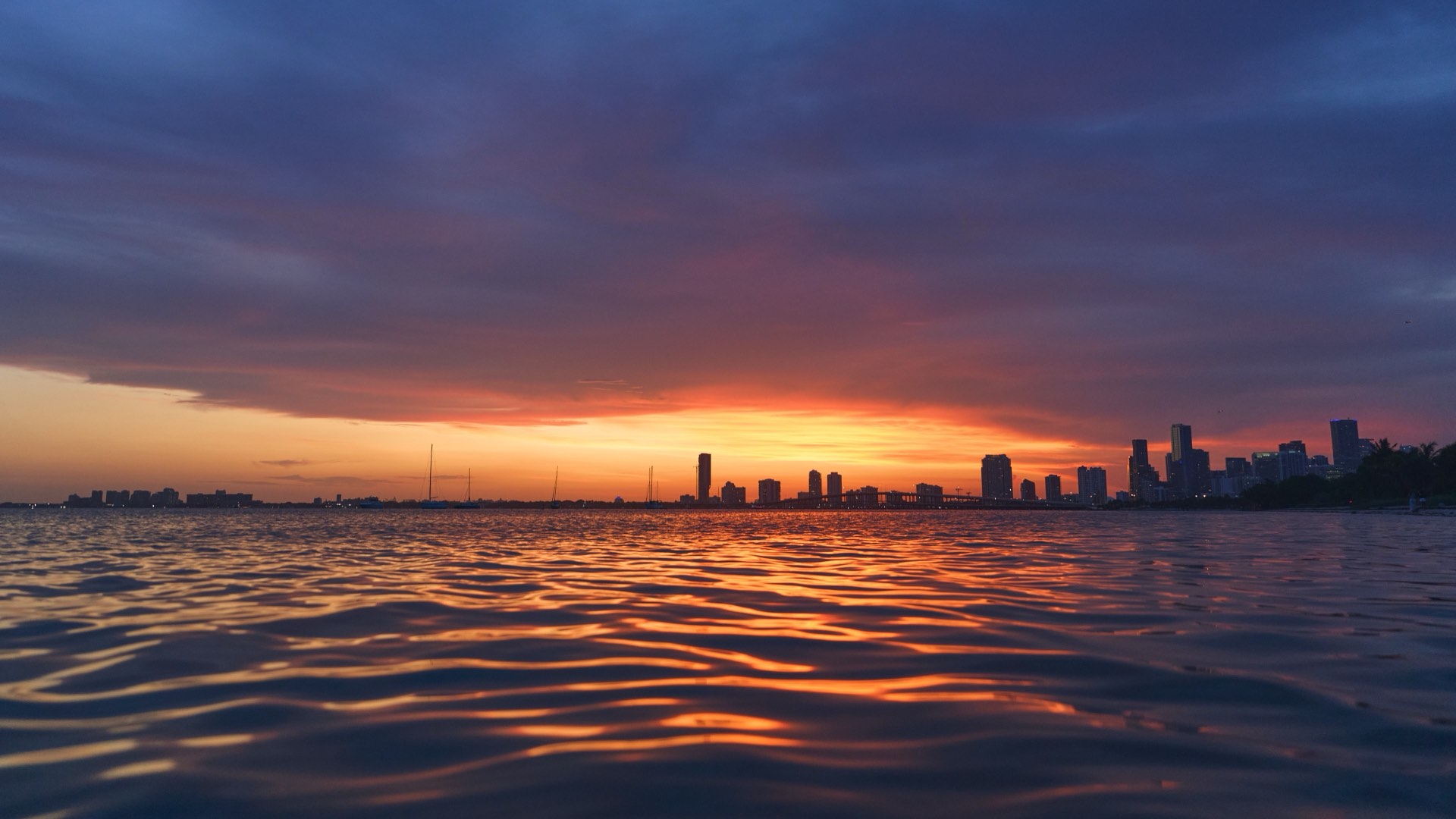 Miami, photographed by Joey Wright